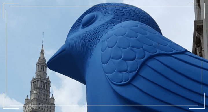 Giant Animal Art Brightens Up Downtown&nbsp;Cleveland