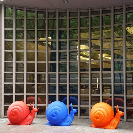 Outdoor Art in Downtown Cleveland | Giant Animal Art takes over downtown Cleveland and adds a splash of color to the city. Click through for more pictures!