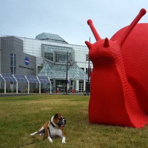 Outdoor Art in Downtown Cleveland | Giant Animal Art takes over downtown Cleveland and adds a splash of color to the city. Click through for more pictures!
