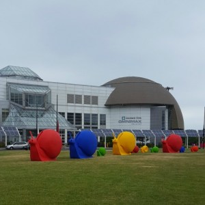 Outdoor Art in Downtown Cleveland | Giant Animal Art takes over downtown Cleveland and adds a splash of color to the city. Click through for more pictures!