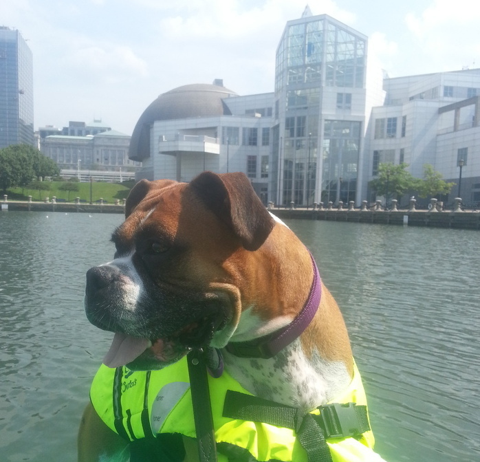 Nena Science Center Cleveland